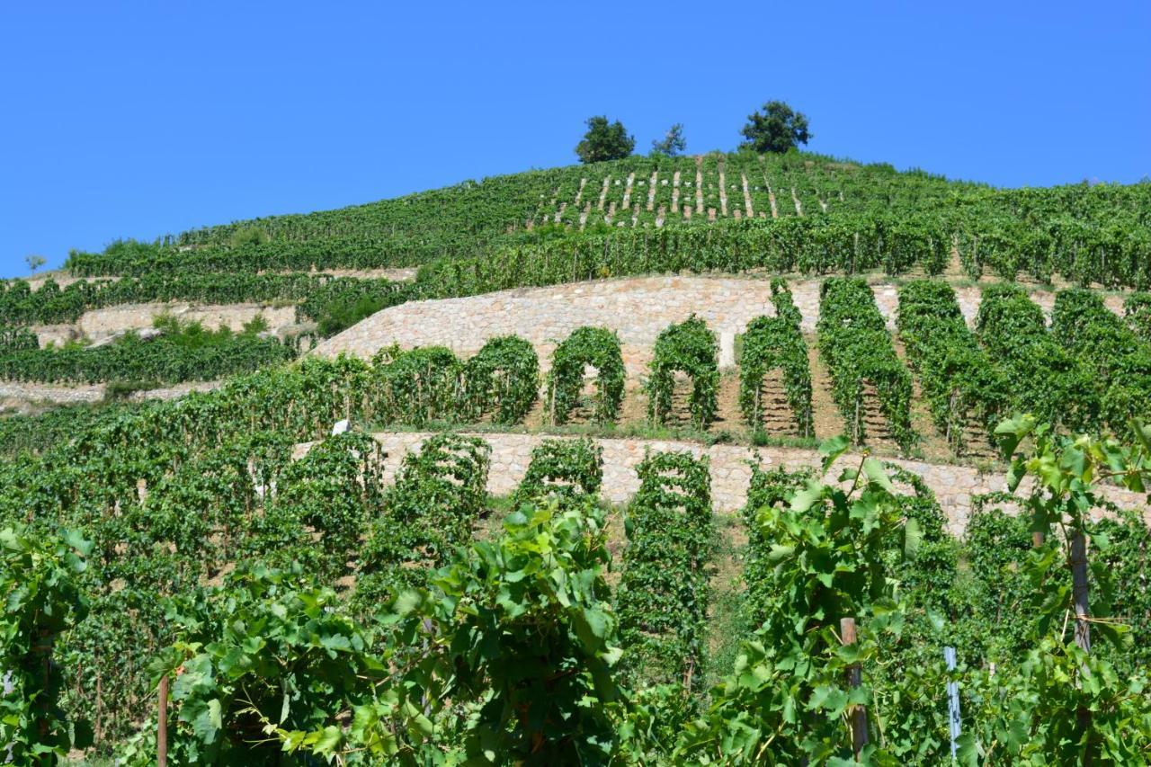 Lamaisondemamere Tournon-sur-Rhone Kültér fotó